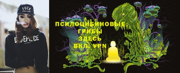 кокс Баксан
