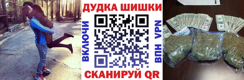 Бошки марихуана план  купить наркоту  Суджа 
